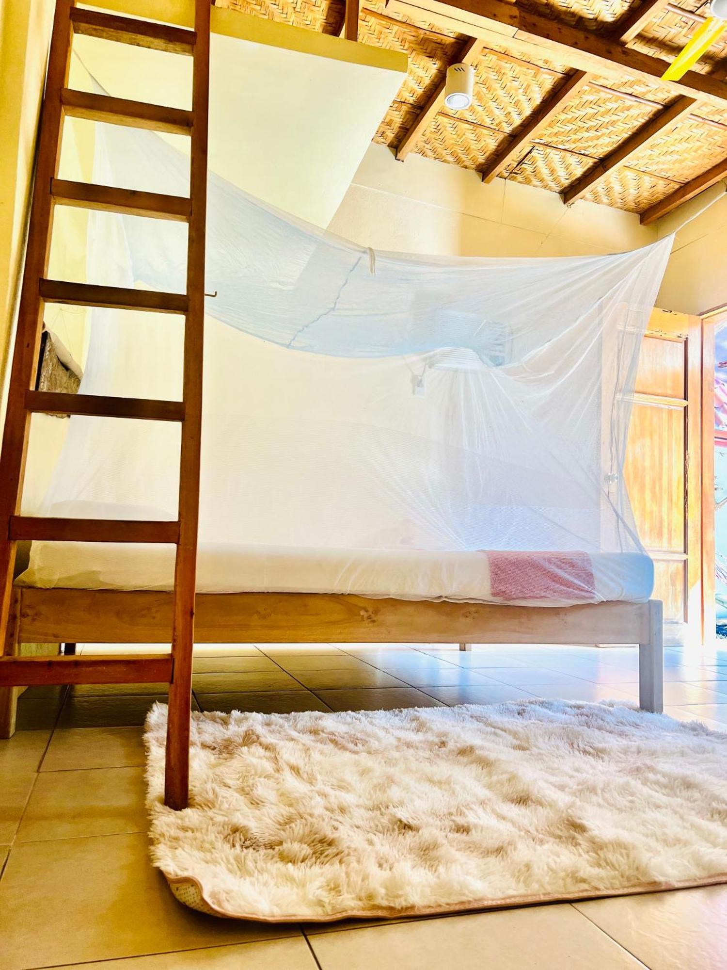 פנגלאו Boholala Hostel מראה חיצוני תמונה